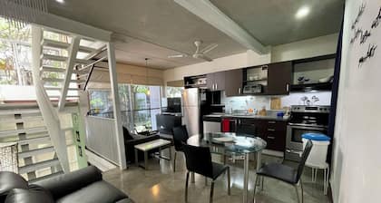 Beautiful Spacious Loft 2 Bedrooms 2 Full Baths 2 car Garage in Downtown