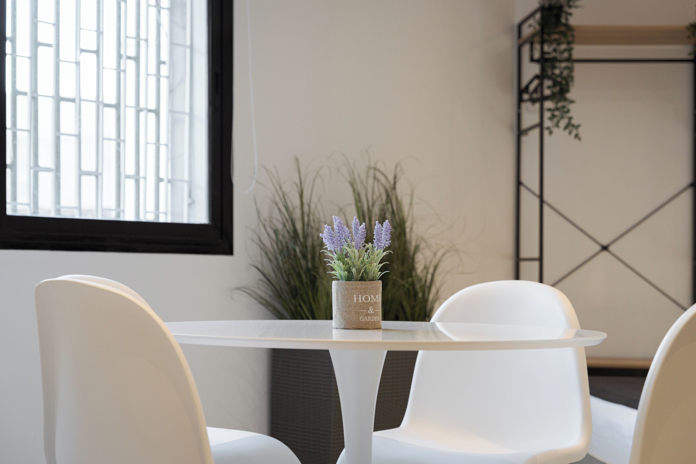 A white table with a small potted plant in the center, surrounded by white chairs.