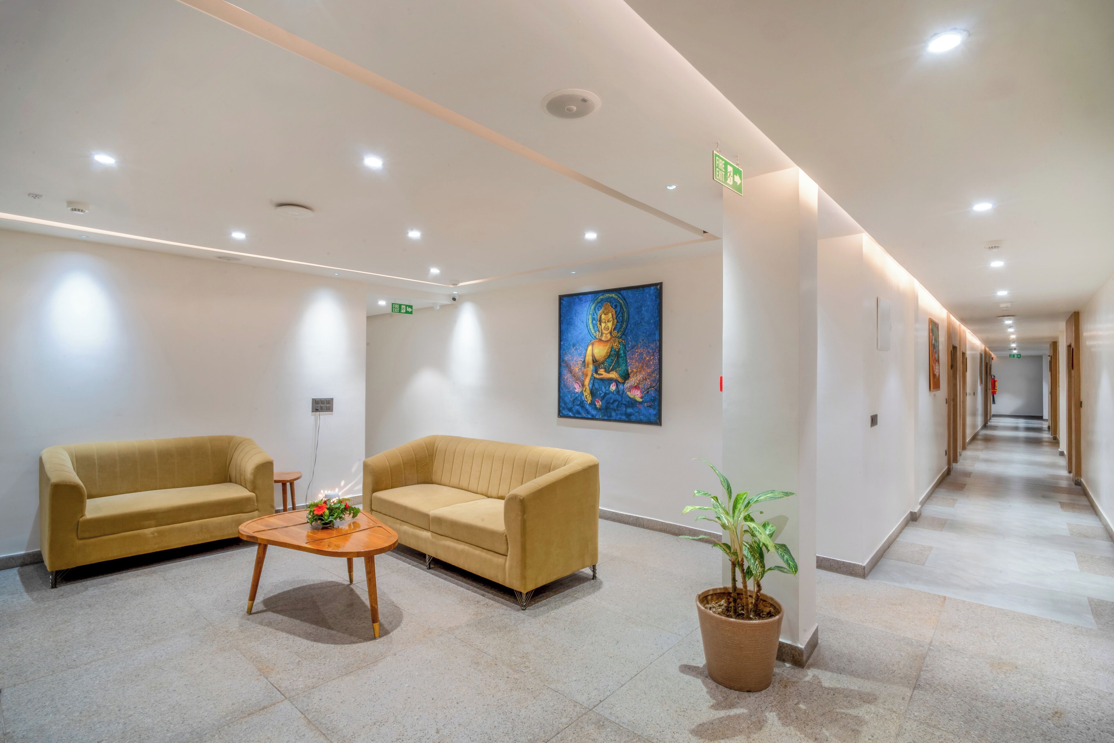 Een moderne lobby met twee banken, een bijzettafeltje en een potplant.