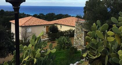 Superb T2 sea view with pool