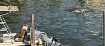 Waterfront Retreat | Private Spa & Jetty | Family & Pet-Friendly Getaway