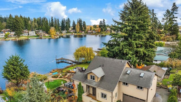 A residential area with a lake, a dock, and houses with gardens.