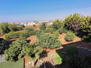 Stroll through the beautifully landscaped garden, surrounded by a variety of plants and palm trees.