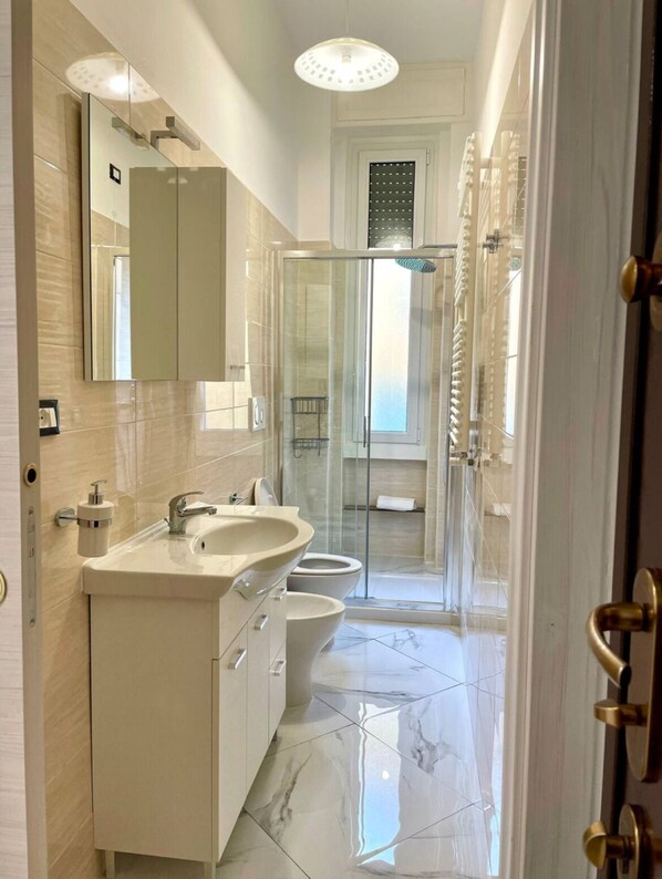 Hair dryer, bidet, towels, toilet paper
