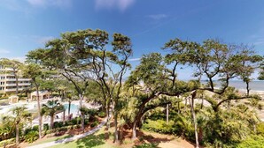 Un complexe hôtelier doté d’une piscine, de palmiers et offrant une vue sur l’océan.