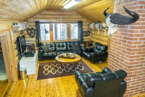 TV, fireplace, video games