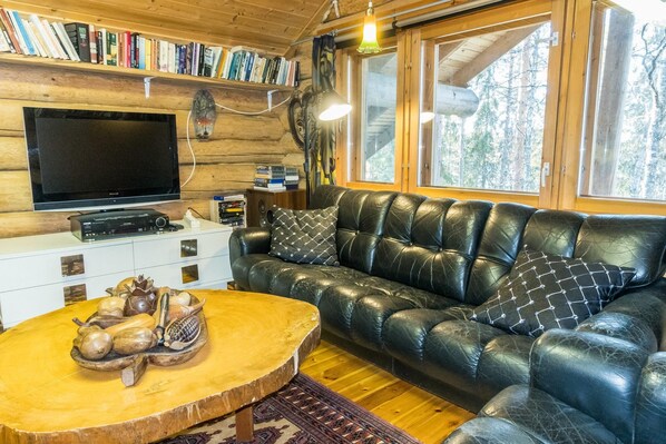 TV, fireplace, video games