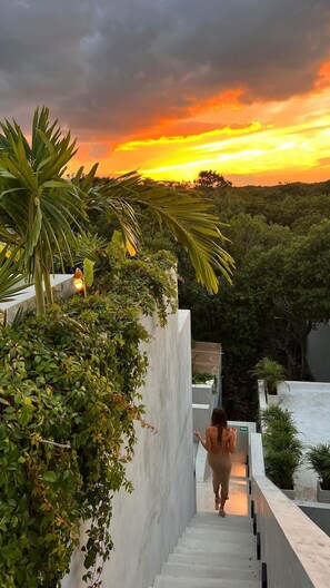 Property grounds - Luxury 7-Bedroom Villa in Tulum (Tulum)