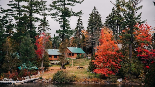 A cabin with a green roof, surrounded by autumn foliage and a lake. - Cabin, Queen Bed, 2 Bunks, Private Bath (Greenville)