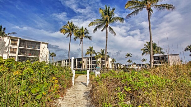 A pathway leading to a modern building with multiple floors, surrounded by palm trees and dense vegetation.