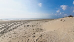 Ein sandiger Strand mit Fußabdrücken und vereinzelter Vegetation.