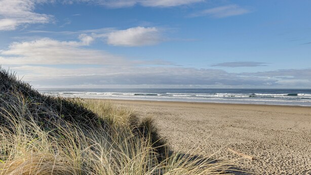 A beach with sand and waves, and some grass in the foreground.