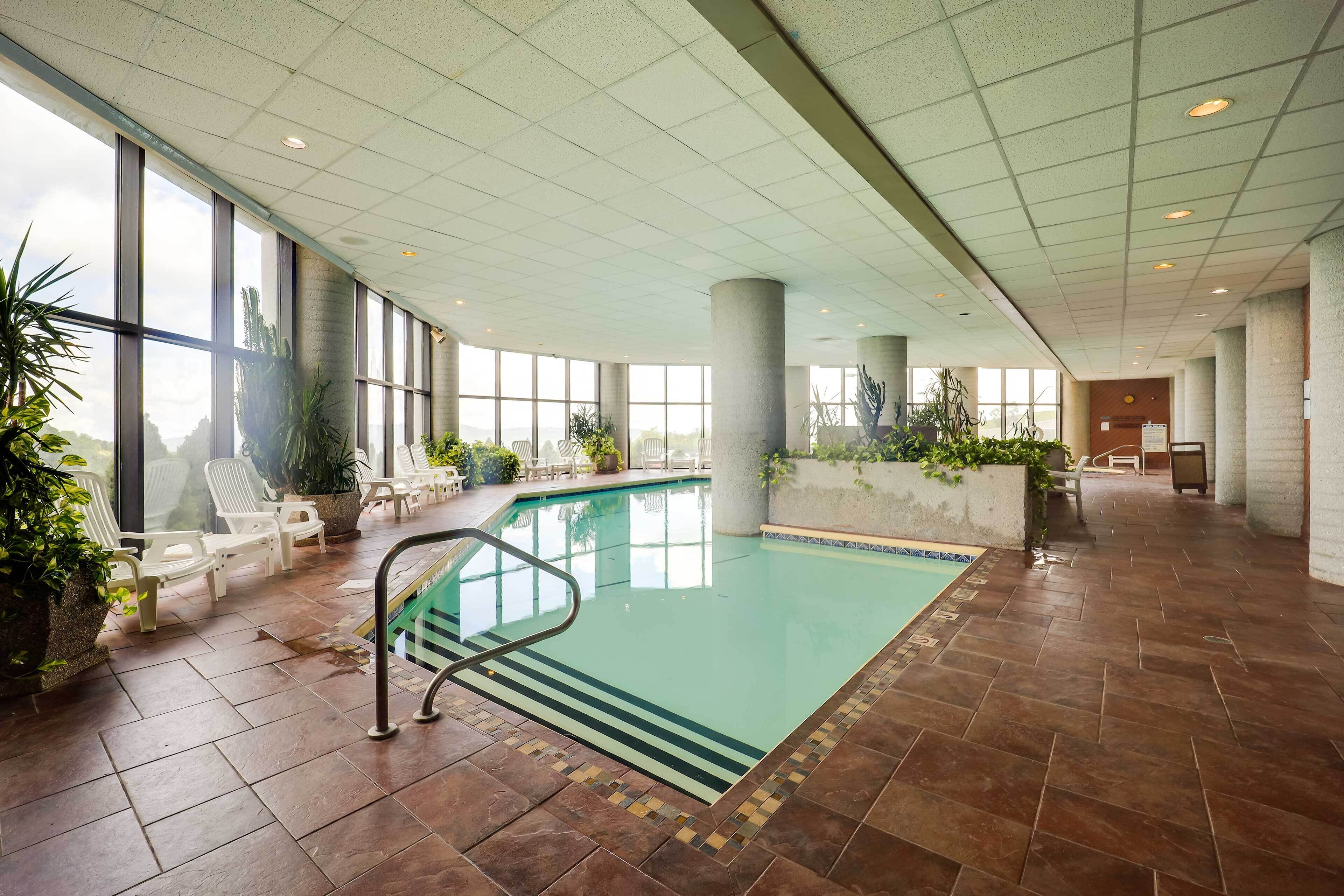 Una piscina interior con paredes de vidrio transparente, rodeada de sillas reclinables blancas y plantas en macetas.