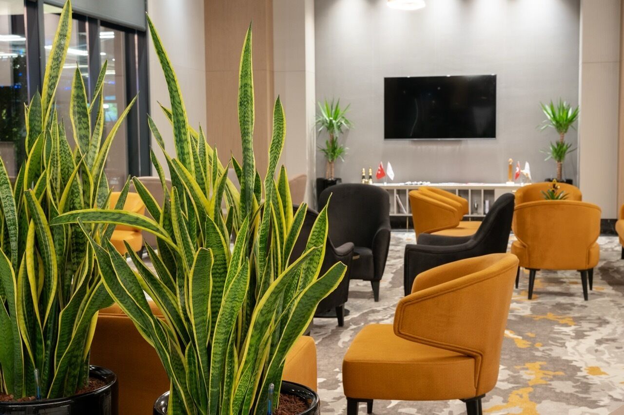 Un hall d’hôtel moderne, agrémenté d’une grande plante en pot, de sièges confortables, d’un téléviseur à écran plat et d’une table décorative ornée de drapeaux.