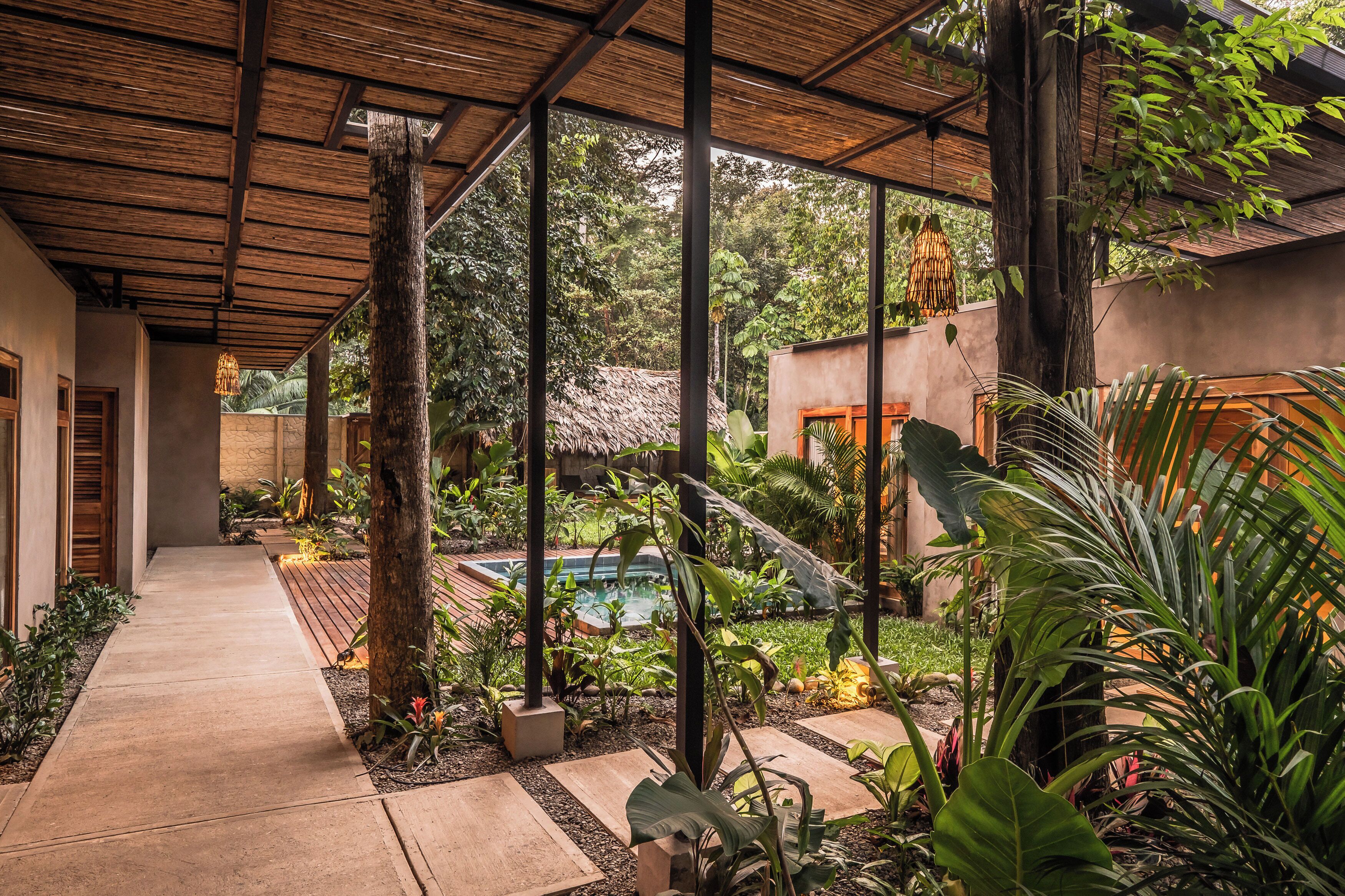 A covered outdoor area with a concrete pathway, tropical plants, a thatched-roof structure, and a swimming pool.