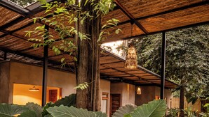 Un espace extérieur abrité, doté d’une structure en bois, de grandes plantes à feuilles luxuriantes et d’un chemin menant à l’entrée d’un bâtiment.