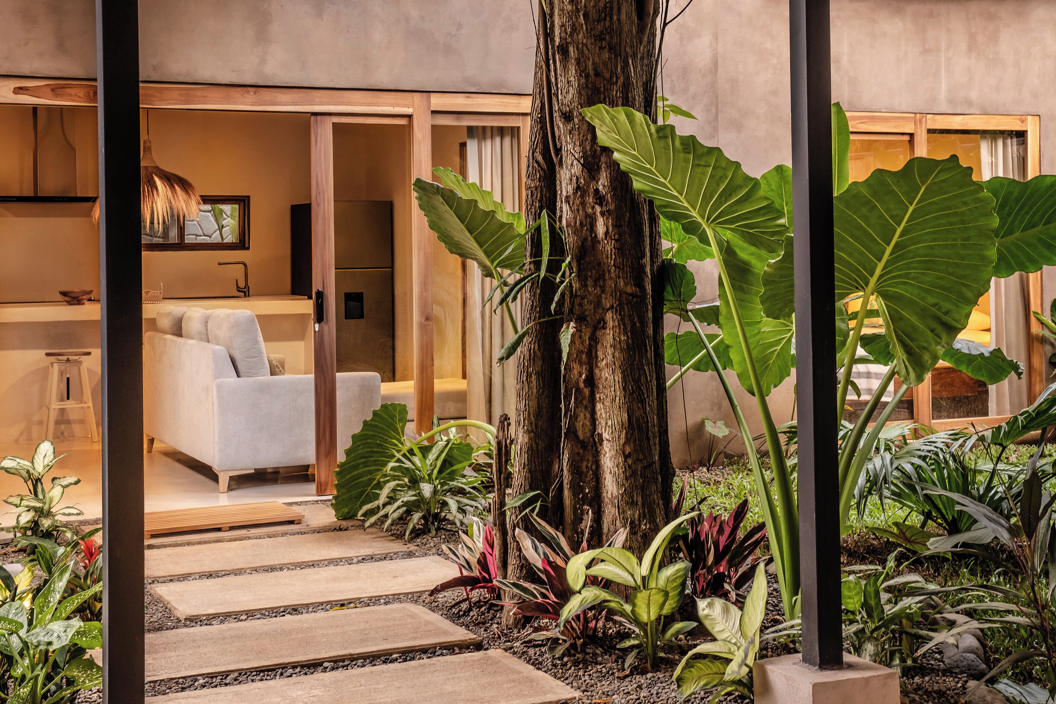A modern interior with a white sofa, a wooden dining table, and a large tree surrounded by various plants.