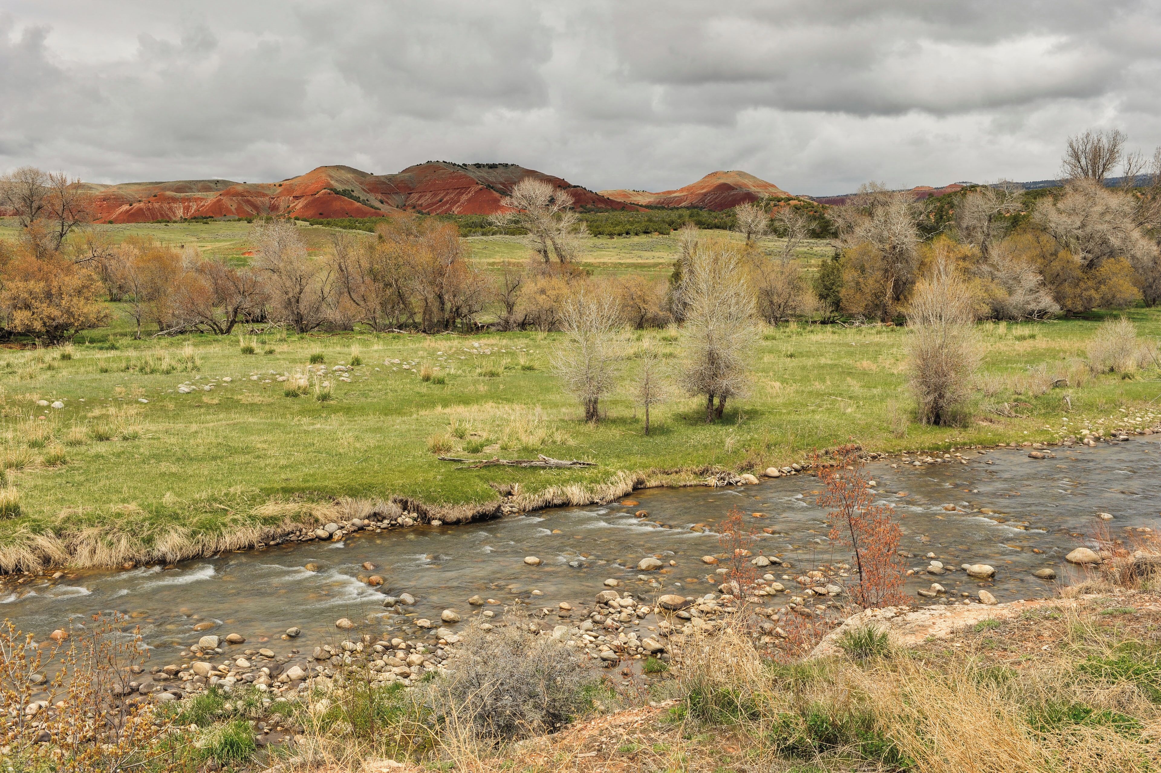 A river flowing through a grassy landscape with hills in the background.
