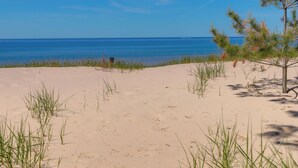 Une plage de sable avec une végétation clairsemée et un ciel bleu dégagé.