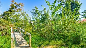 House (6 Bedrooms) | Bahagian dalam