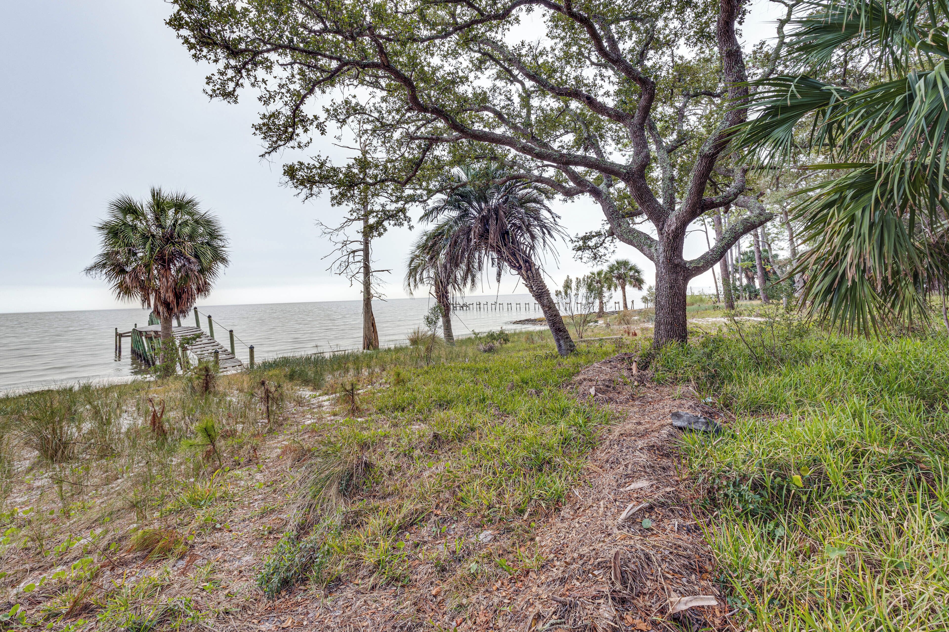 A coastal path with a wooden walkway leading to a dock, surrounded by palm trees and grassy areas.