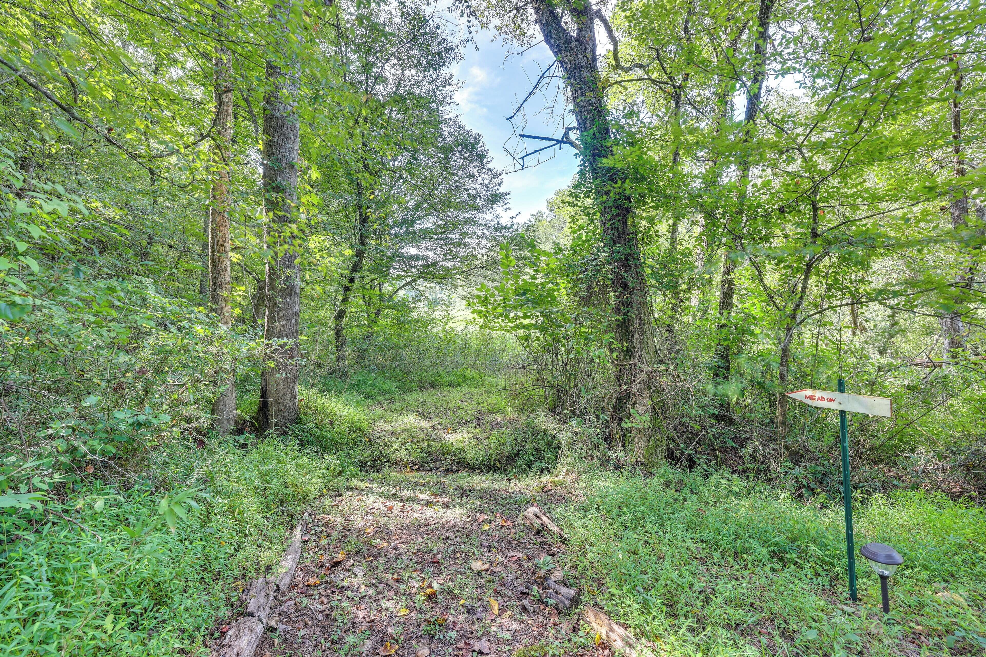 A forested area with a signpost indicating 'MEAD OW'.