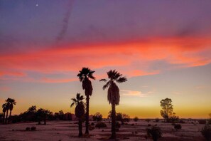 A desert landscape with palm trees and a sunset sky. - Rejuvenating Retreat w/ Ideal Eloy Location! (Eloy)