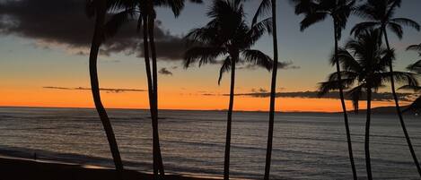 Condo, 2 Bedrooms | Beach