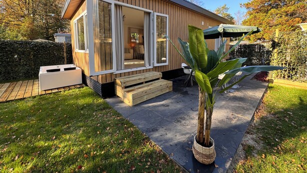 A modern house with a large glass door, a wooden exterior, and a small patio area with a bench and a potted plant. - Forest view holiday house with private jacuzzi (Hoenderloo)