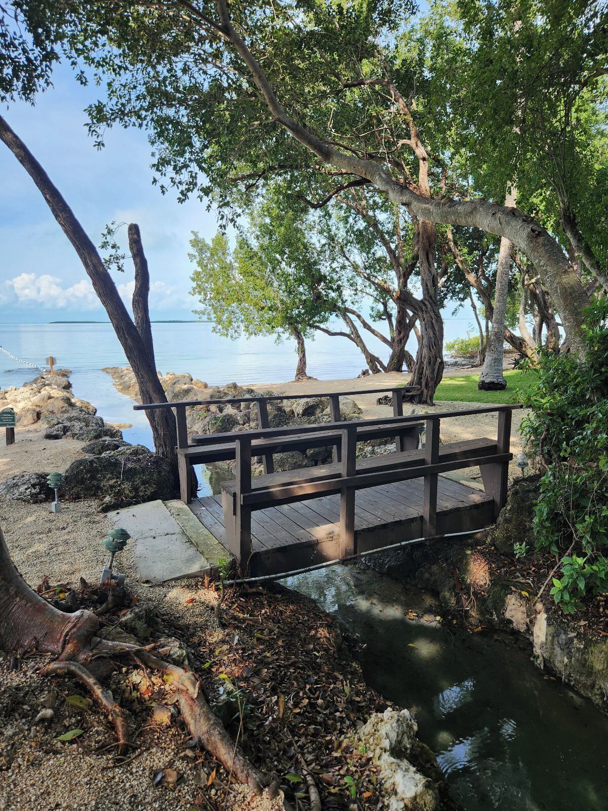 Eine Holzbrücke über einem Bach mit Blick auf einen ruhigen See und Bäume.