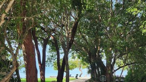 A gravel path leading to a beach, surrounded by trees and a sign indicating a parking area.