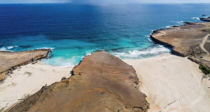 Beachfront condo with private Hot tub