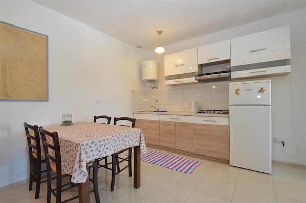 Fridge, stovetop, cookware/dishes/utensils