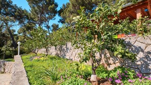 Un jardin avec un mur de pierre, différentes plantes et un petit arbre.