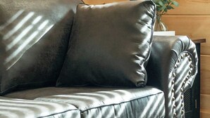 A leather sofa with a cushion, a lamp, and a small plant on a wooden floor.