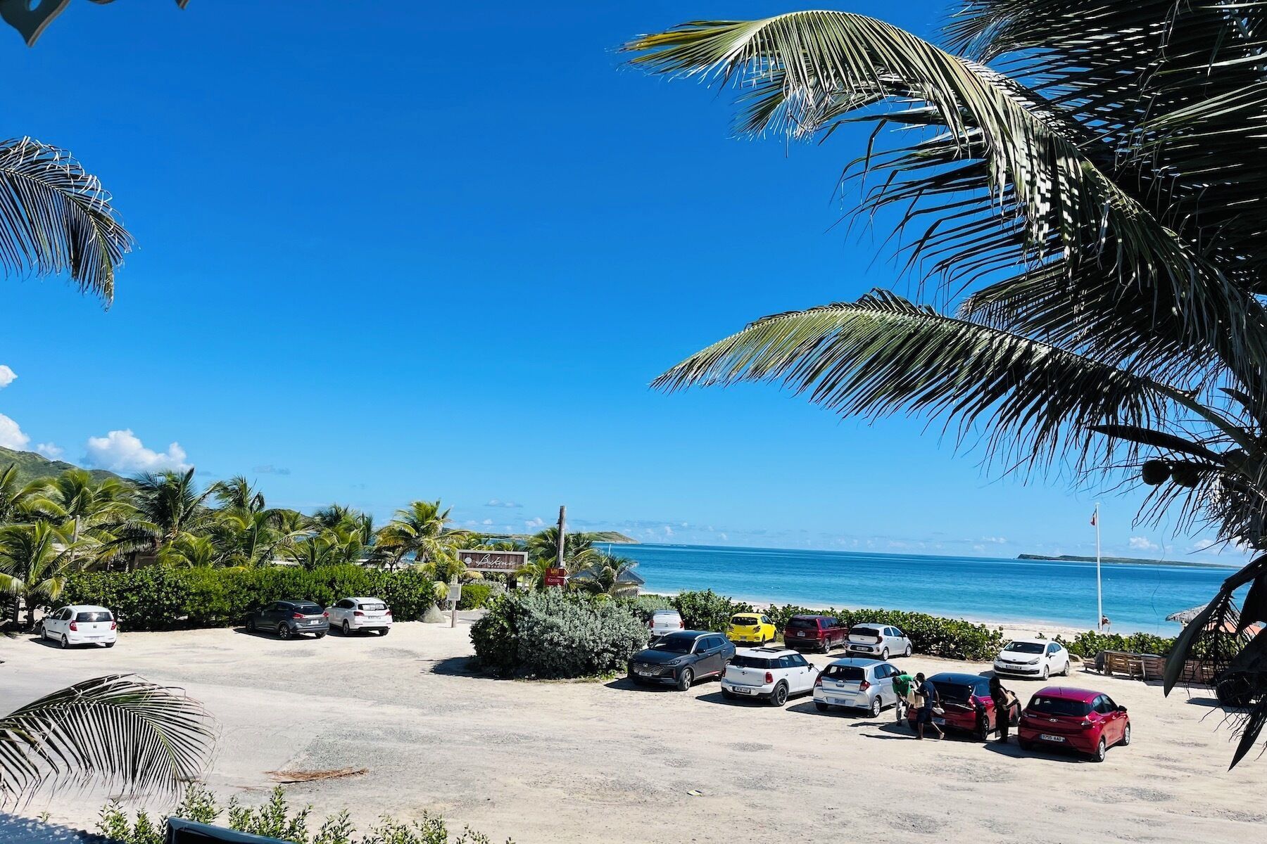 Een parkeerplaats met meerdere auto's en palmbomen, een helderblauwe lucht en uitzicht op de oceaan.