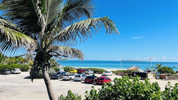 Un aparcamiento frente a la playa con coches, una palmera y vistas al océano.