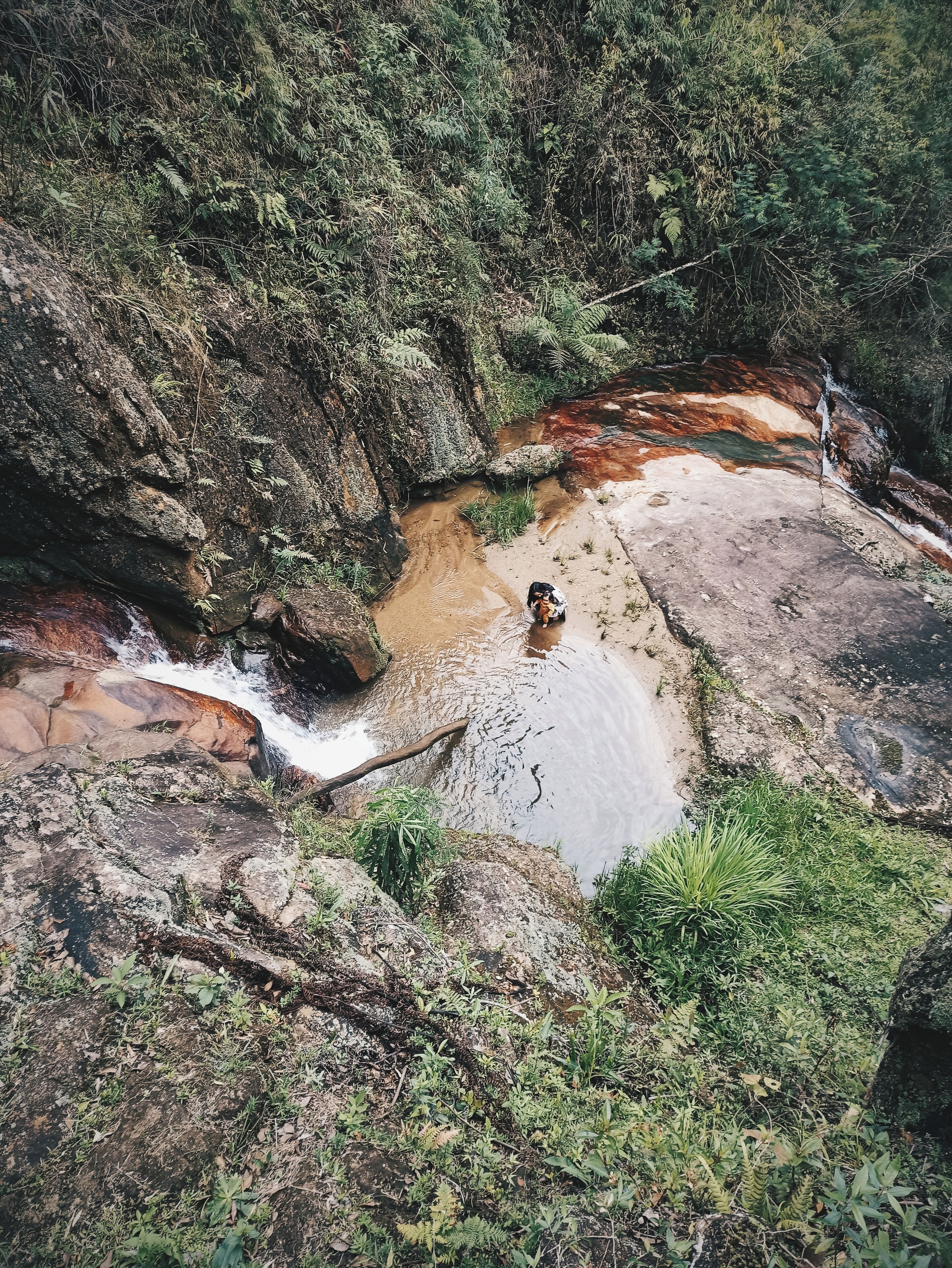 Un paysage naturel avec un ruisseau qui serpente entre les rochers, le tout étant entouré d’une végétation luxuriante.