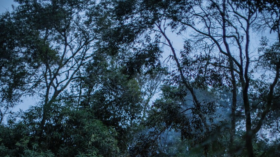 Chale de Vidro nas montanhas