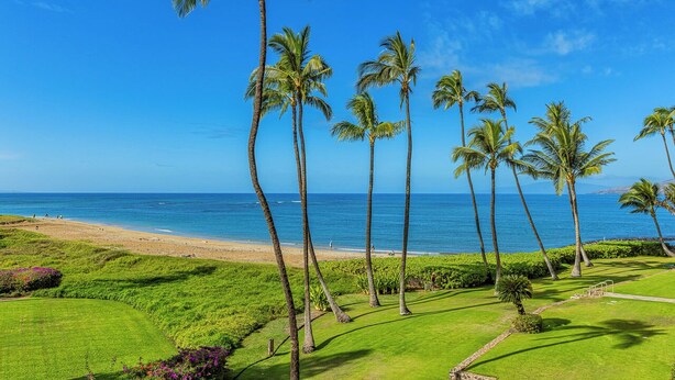 A tropical landscape with a beach, palm trees, and a clear blue sky.