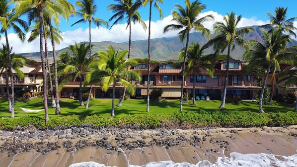 Ein Strandhotel mit mehreren Gebäuden, Palmen und einer felsigen Küstenlinie.