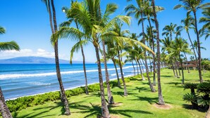 A coastal view with palm trees and a grassy area.