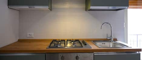 Fridge, oven, stovetop, cookware/dishes/utensils