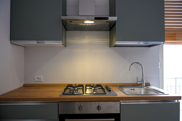 Fridge, oven, stovetop, cookware/dishes/utensils