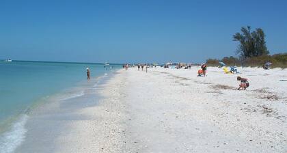 5 BDRM/3 Bath/Naples Luxury/Htd Pool/Nr Beach/Pets