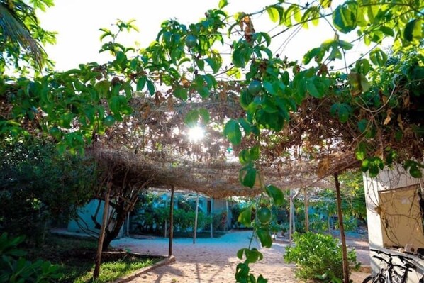 Terrein van de accommodatie