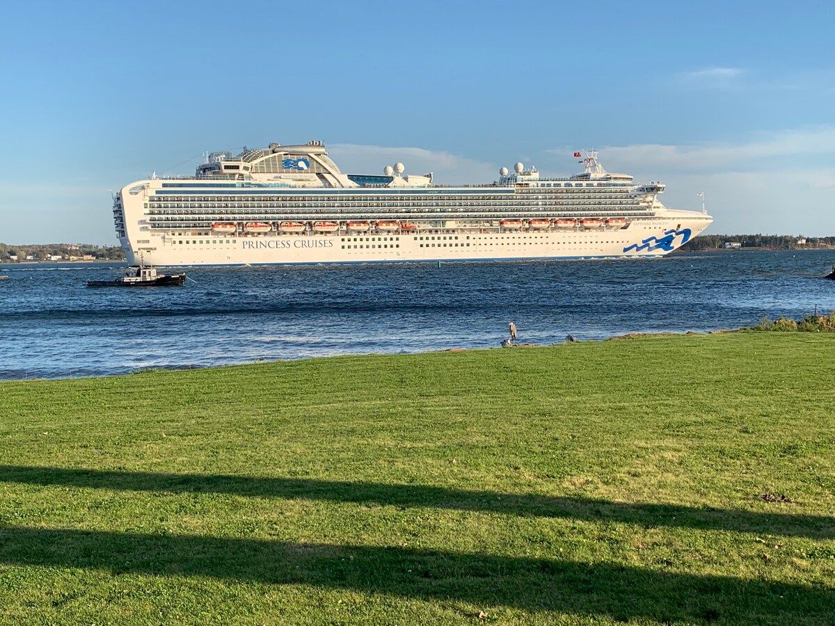 Un gran crucero con varias cubiertas y botes salvavidas, amarrado en un puerto con un área verde al frente.
