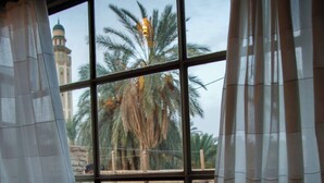 A window with white curtains, a view of a palm tree, and a building with a dome in the background. - Hoch El Houdou (Tozeur)