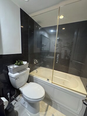 Hair dryer, towels, soap, toilet paper