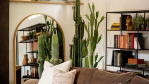 Un salón con un sofá marrón, una estantería y varios cactus.
